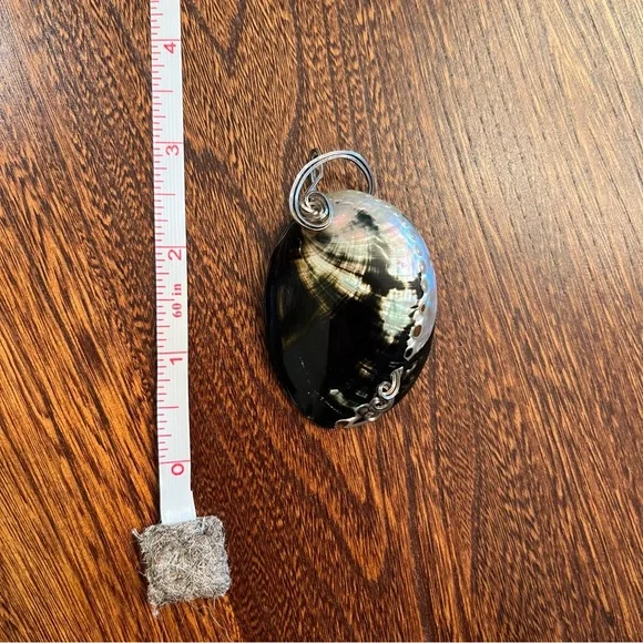 Artisan Handcrafted Abalone Wire-wrapped Pendant - Picture 5 of 5
